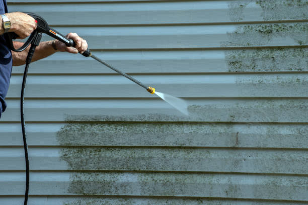 Best Roof Cleaning and Mildew Removal in Maynardville, TN